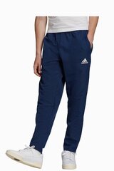 Штаны adidas Entrada 22 Presentation