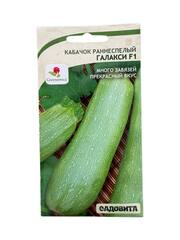 Кабачок Галакси F1 (Greenomica / Садовита)