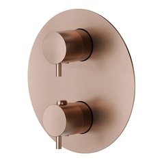 Newform X-Steel 316 69663EX.59.067 Термостатический смеситель встраиваемый copper bronze фото