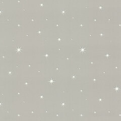 Обои 7393-02 Perseids/Персеиды Euro Decor