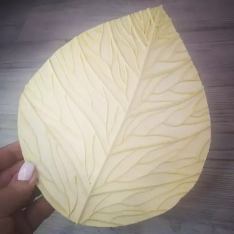 Молд пластиковый 