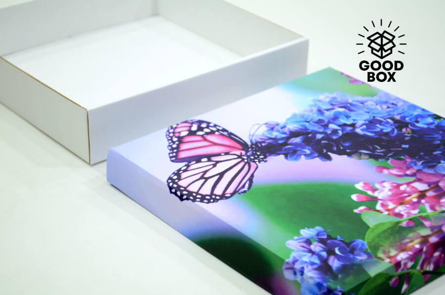Коробка 250*250*50 