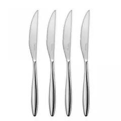 Набор ножей для стейка, 4 шт. ROBERT WELCH Hidcote Bright арт.HIDBR1012V/4