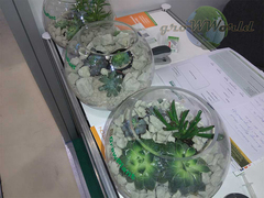 Субстрат из пеностекла GrowPlant 50л