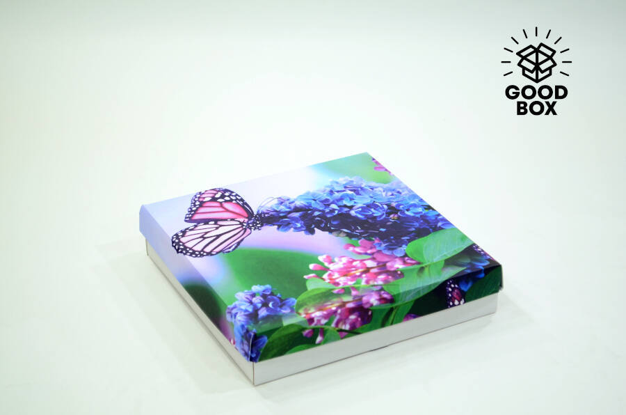 Коробка 250*250*50 