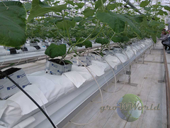 Субстрат из пеностекла GrowPlant 50л