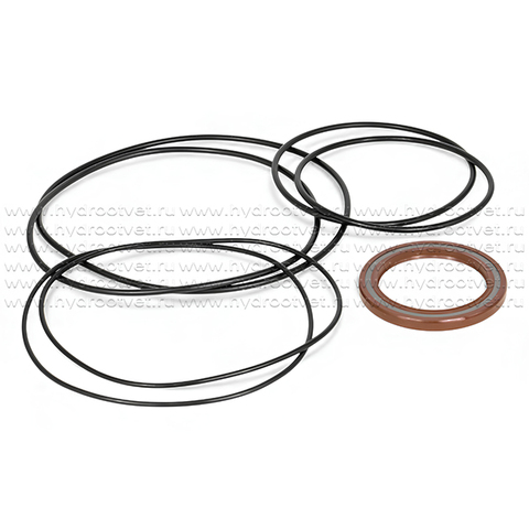 Фото A2FO250 SEAL KIT - Комплект уплотнений (с манжетой 60x80x7 мм) для гидронасоса/гидромотора Rexroth A2FO250, A2FM250, A2FE250