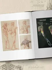 Анатомия Рэя. Большое руководство по рисунку для художников