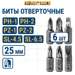 Набор бит ПРАКТИКА Профи  6шт PH1,2; PZ1,2; SL 2 шт x 25мм, (036-551)