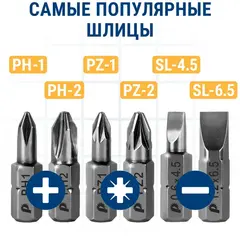 Набор бит ПРАКТИКА Профи  6шт PH1,2; PZ1,2; SL 2 шт x 25мм, (036-551)
