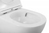 BelBagno Sfera-Tor BB046CH-TOR Чаша унитаза подвесного безободкового, с системой смыва "Торнадо", цвет: белый