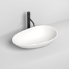 Salini Paola 1101101G Раковина накладная 58х34.5, цвет: белый глянцевый