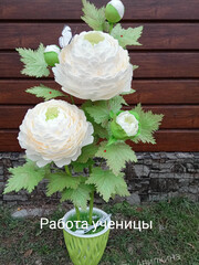 МАСТЕР-КЛАСС  