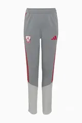 Штаны adidas Liverpool FC 26/27 Training Junior - серый