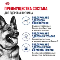 Royal Canin Maxi Adult Сухой корм для собак крупных пород 20 кг