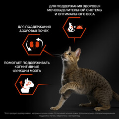 Pro Plan сухой корм для стерилизованных кошек для поддержания органов чувств (лосось) 1,5 кг