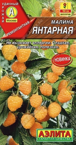 Семена Малина Янтарная