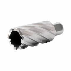 HSS-Co Корончатое сверло по металлу 70x55, weldon 19