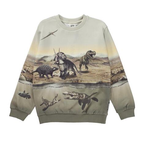 Джемпер Molo Miksi dry land dinos