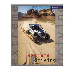 
          Тетрадь 36 л., А5, клетка, Alingar "Extreme driving", скрепка, второй блок, мелованный картон (стандарт), 4 дизайна в пленке т/у
