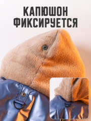 Royal Dog зимний костюм Мажор M
