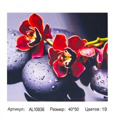 
          Алмазная мозаика Alingar, на подрамнике, с полным заполнением, (глянц.) дизайн рамка, 40х50 см, 19 цветов, "Орхидеи на камнях"
