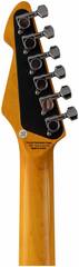 Электрогитара PEAVEY Raptor Custom MRG