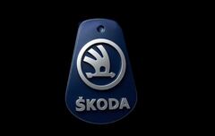 Силиконовый молд Логотип Skoda