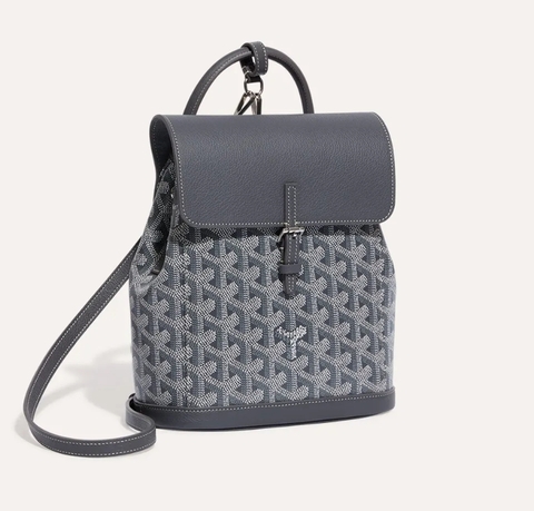 Рюкзак GOYARD Alpin Mini, серый