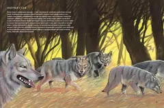 Клыки и когти. Мир больших хищников