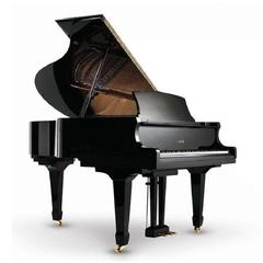 Weber Professional Grand W185