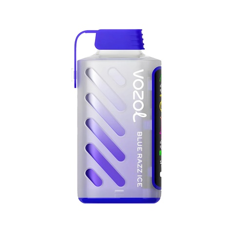 VOZOL Gear 20000 - Черника лёд