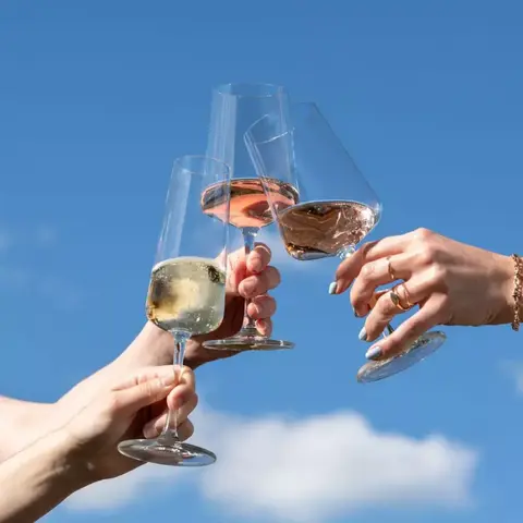 Набор из 4 бокалов для шампанского Sparkling Wine 260 мл SCHOTT ZWIESEL Miovino арт. 124052