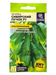Огурец Сибирский пучок F1 (Семена Алтая)