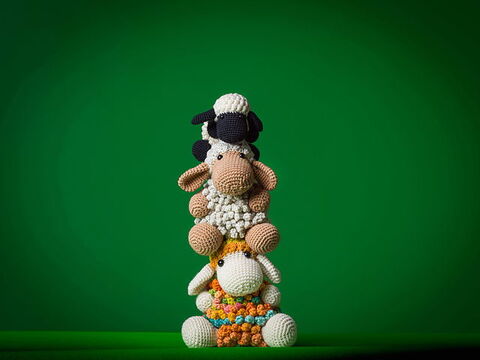 Журнал Schoppel Knit the Cat 17 Die Macher