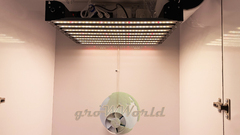 В120хД80хШ60 ГроуБокс FLASHER 200W LED SUPERSILENT