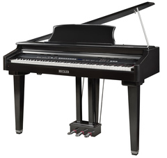 Becker BDGP-1