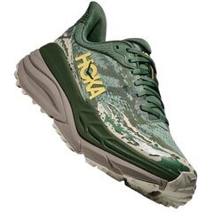 FERN / CEMENT