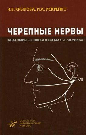 Все до 200 Черепные нервы: Анатомия человека в схемах и рисунках Черепные_нервы_Анатомия_человека_в_схемах_и_рисунках.jpg