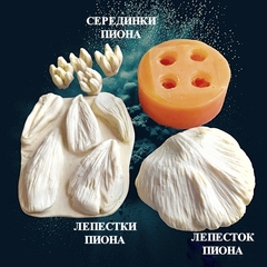 Молд пластиковый + Вайнер силиконовый 