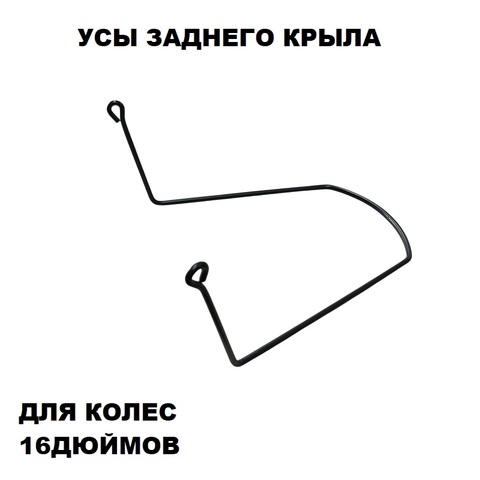 Усы заднего крыла широкие