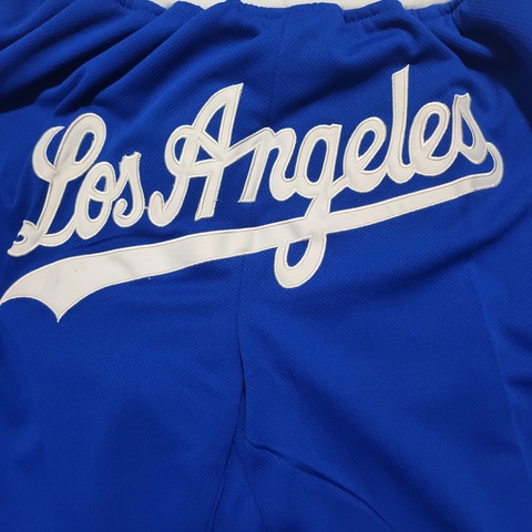Баскетбольные шорты 'Los Angeles/Blue/White' 