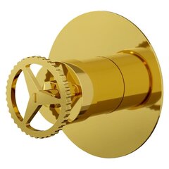 Remer Chrono CH30LDO Смеситель для душа, цвет: золото фото