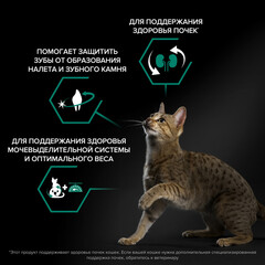 Pro Plan сухой корм для стерилизованных кошек (лосось) 1,5 кг