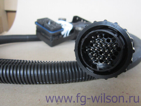 Проводка / LOOM ECM TO RELAY BOX. 2306/280 АРТ: 653-759