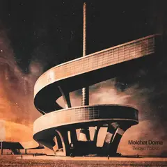Виниловая пластинка Molchat Doma — Belaya Polosa (Limited Clear Cloudy Vinyl)