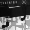 Шорты Hardcore Training Camo 2.1 Grey