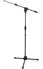 Bespeco MSF10N