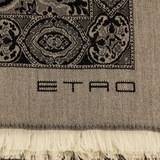Плед из шерсти ETRO