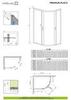 Radaway Premium Plus E 1900 30493-01-06N Душевой уголок